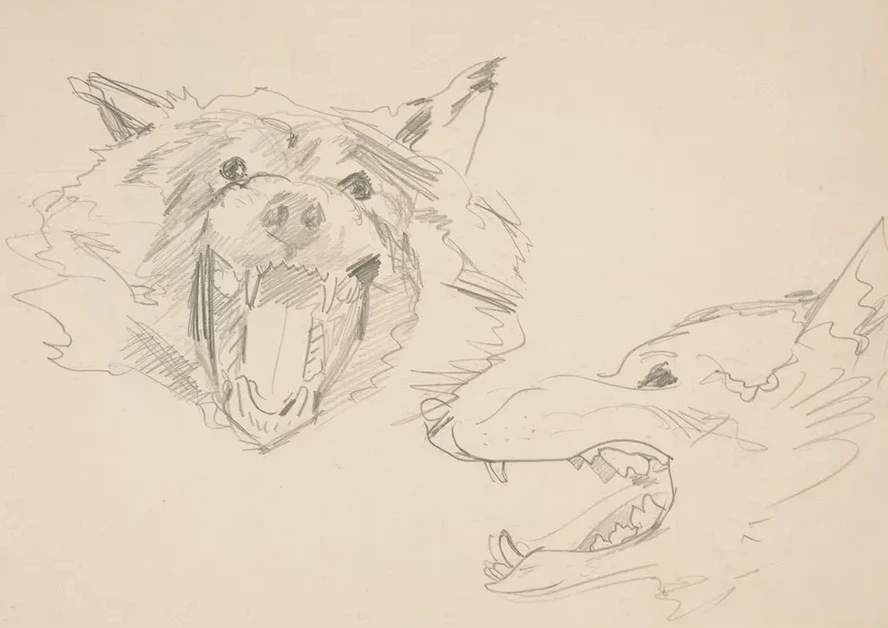 Two Views of a Wolf sHead
