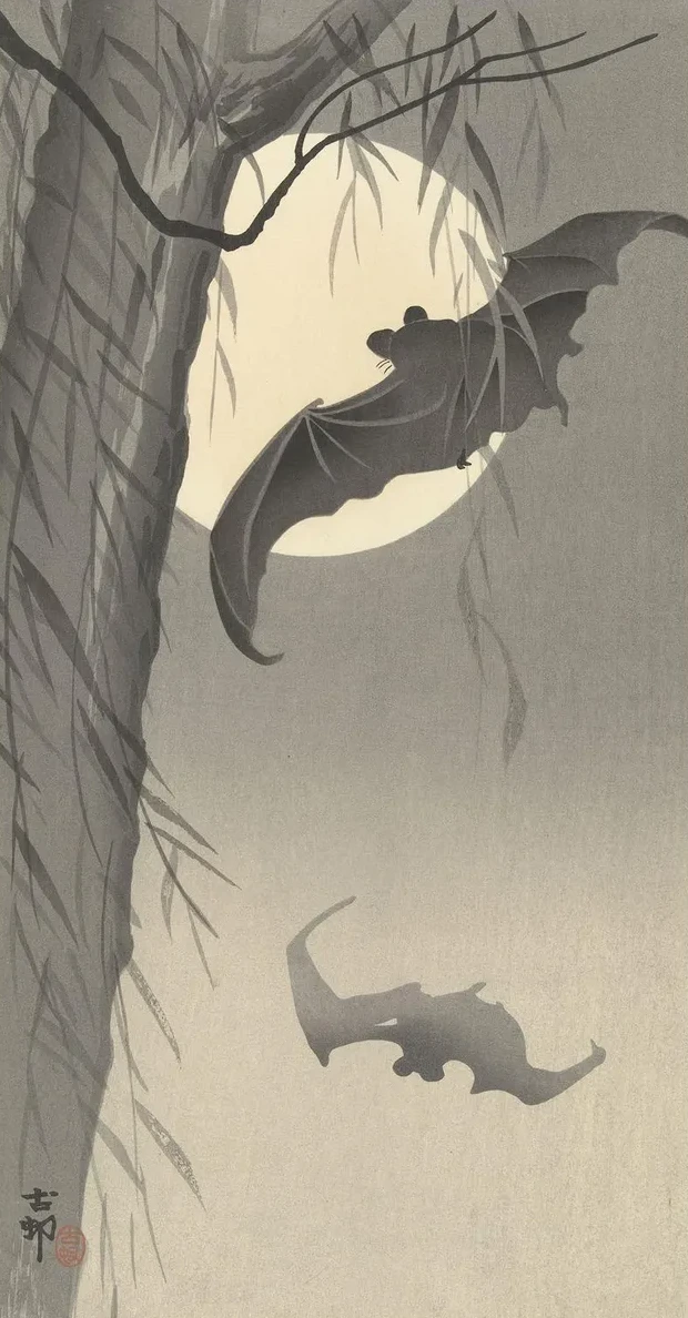 Two Bats at Full Moon