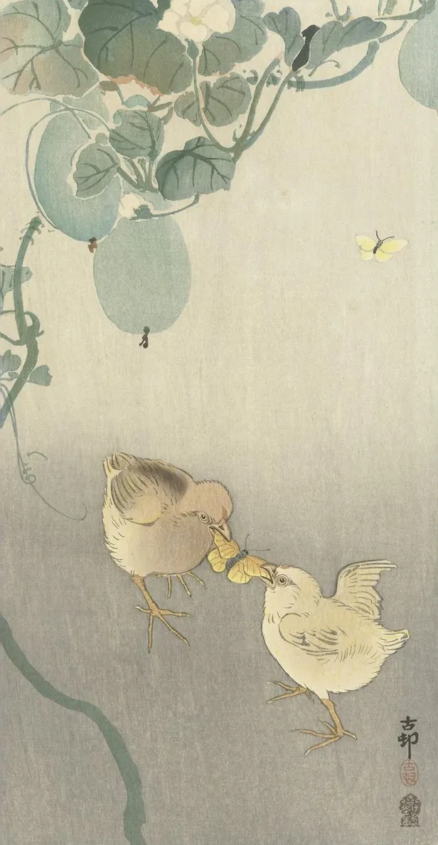 Two Chicks Fighting for Butterfly
