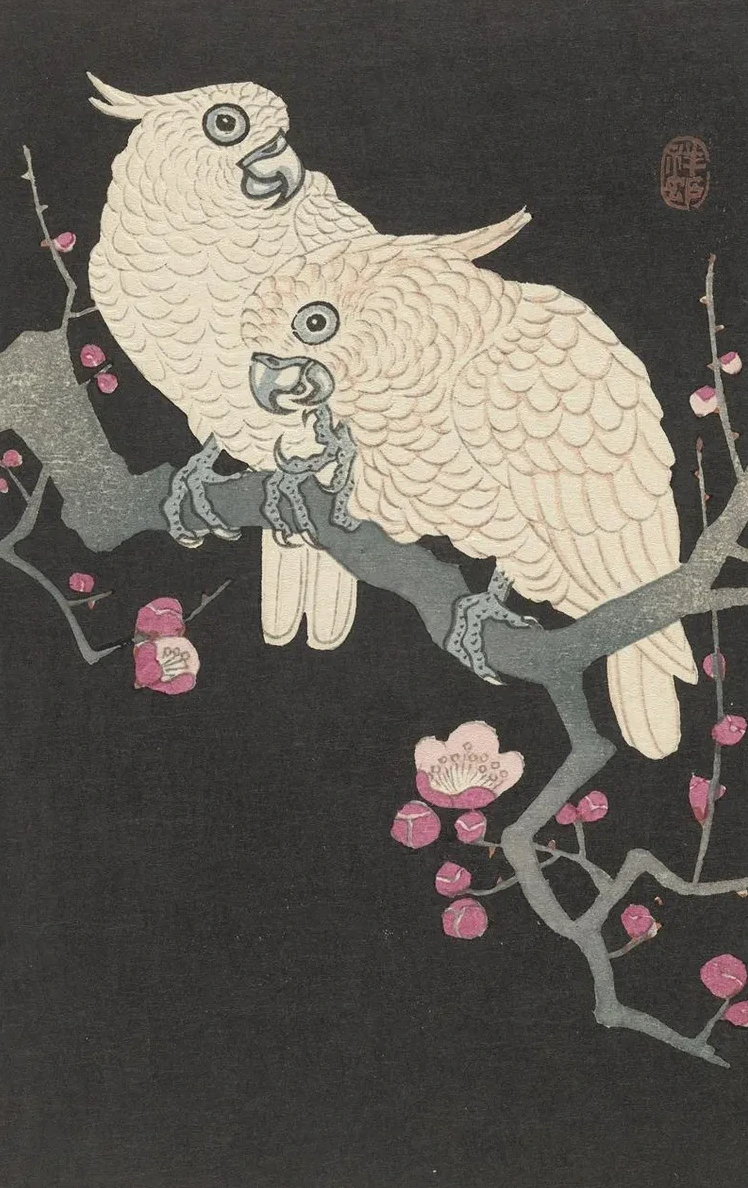 Two Cockatoo and Plum Blossom