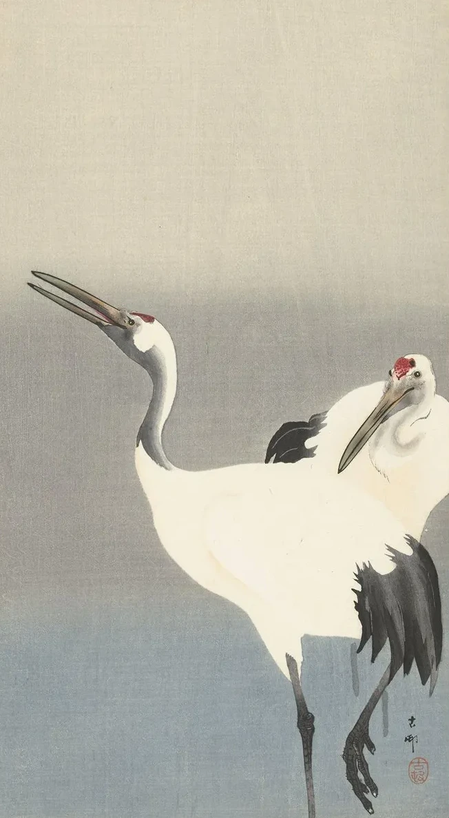 Two Cranes
