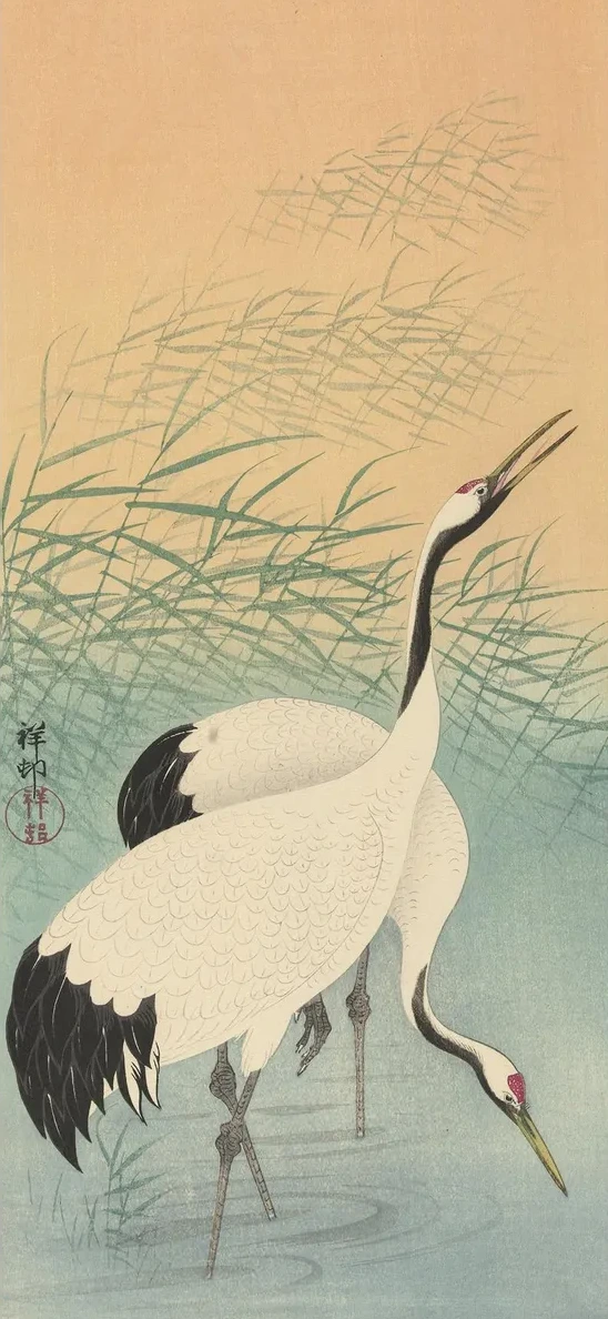 Two Cranes