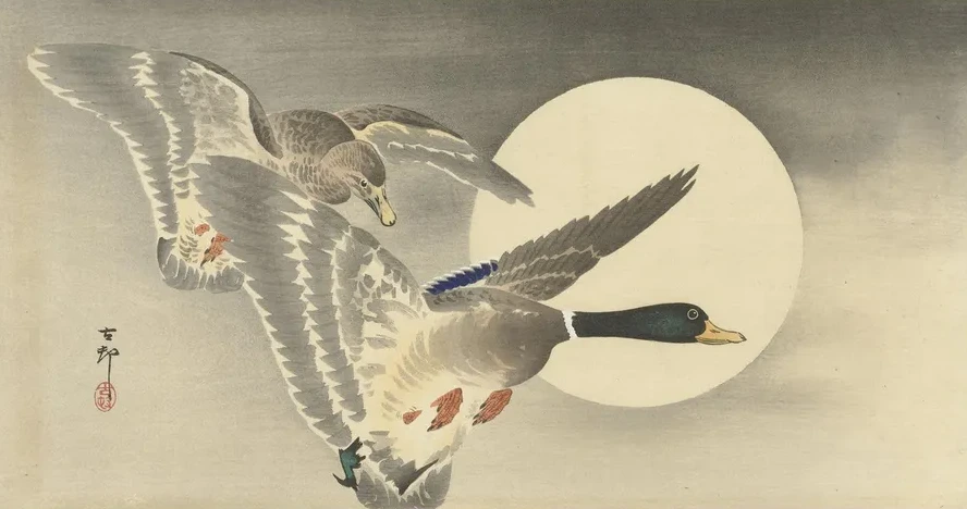 Two Ducks at Full Moon