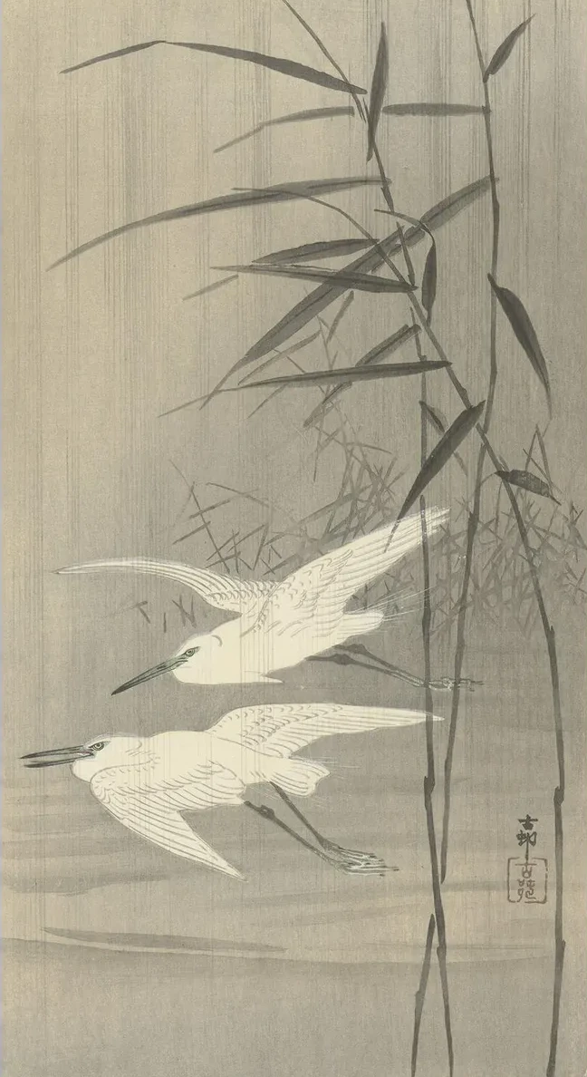 Two Egrets in Flight