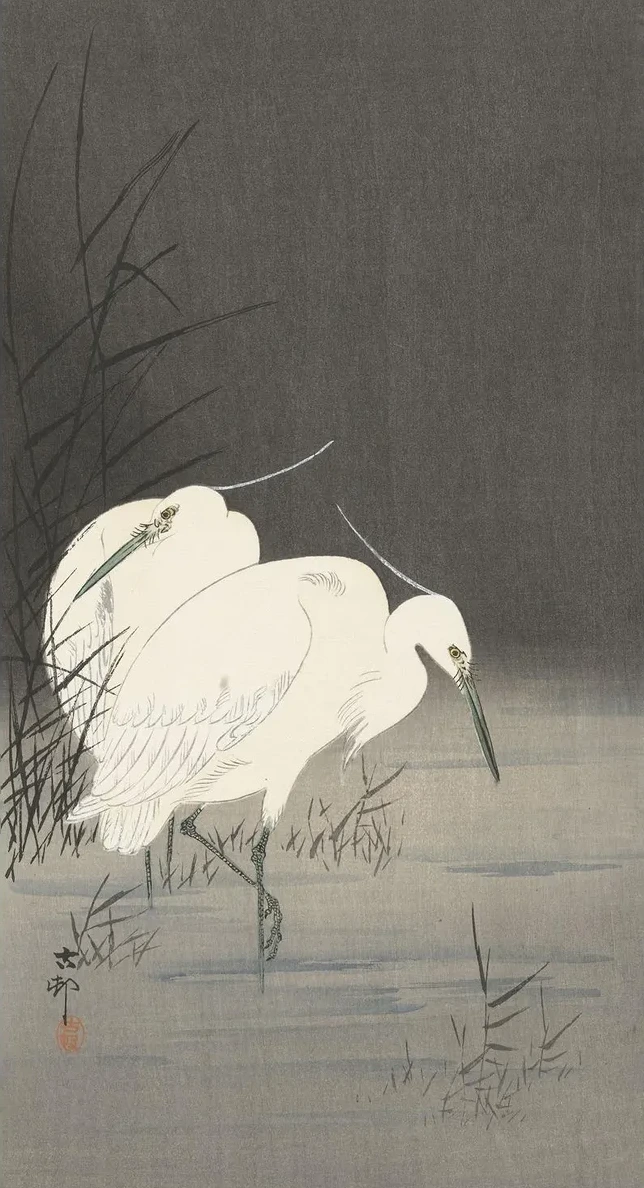 Two Egrets in the Reeds