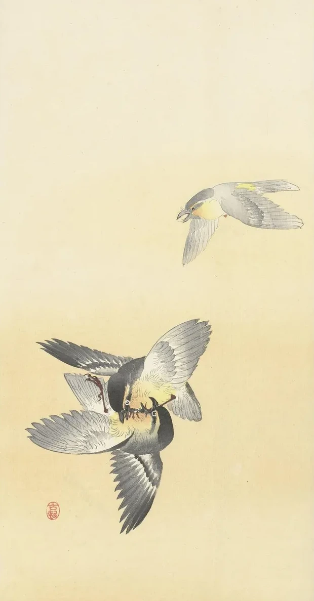 Two Fighting Birds