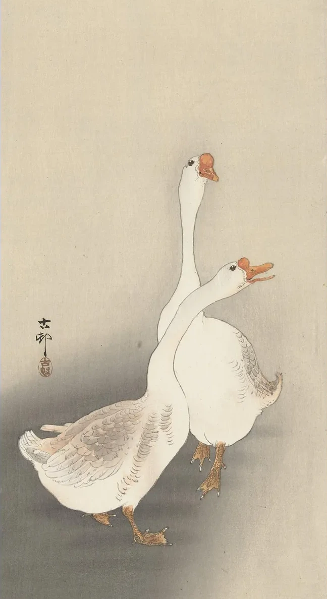Two Geese