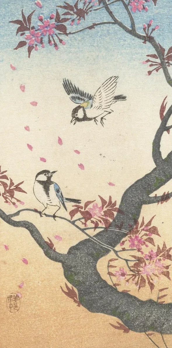 Two Great Tits at Blossoming Tree