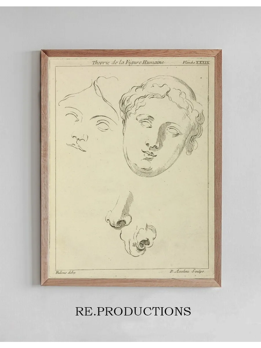 Two Human Female Faces and Two Noses One Human, Animal