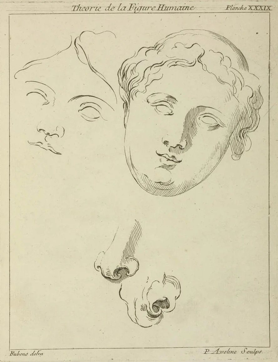 Two Human Female Faces and Two Noses One Human, Animal