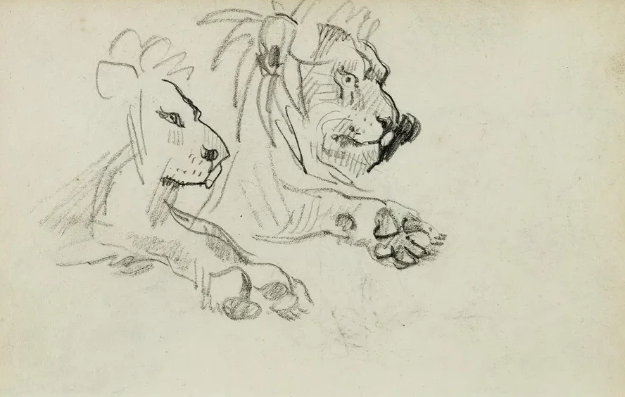 Two Lion Studies