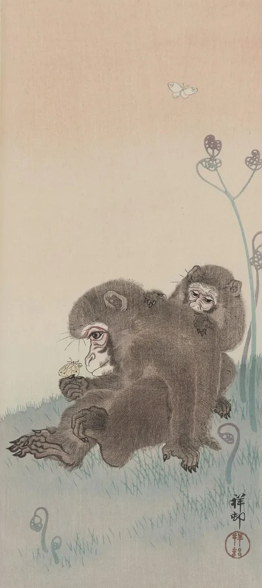 Two Monkeys with Butterfly