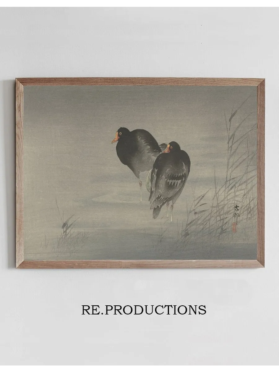 Two Moorhens