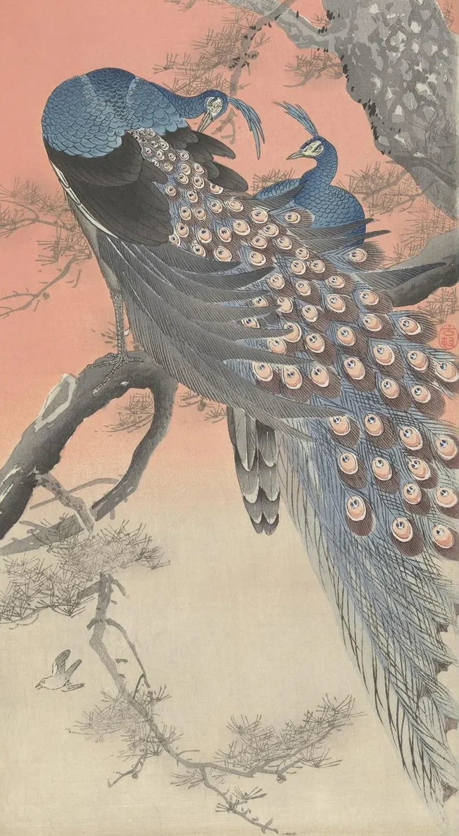 Two Peacocks on Tree Branch