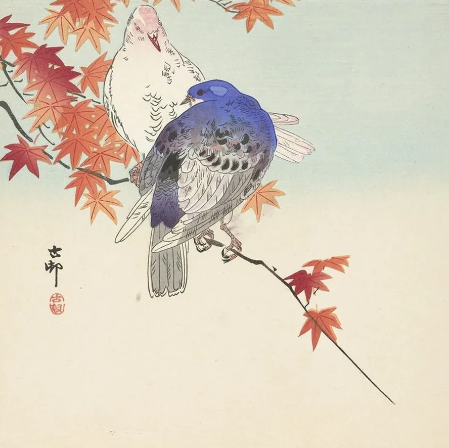Two Pigeons on Autumnal Branch