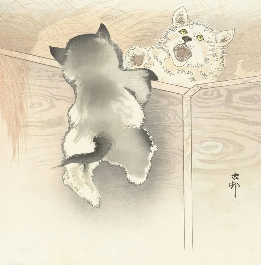 Two Playing Dogs