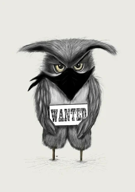 Ugle Wanted