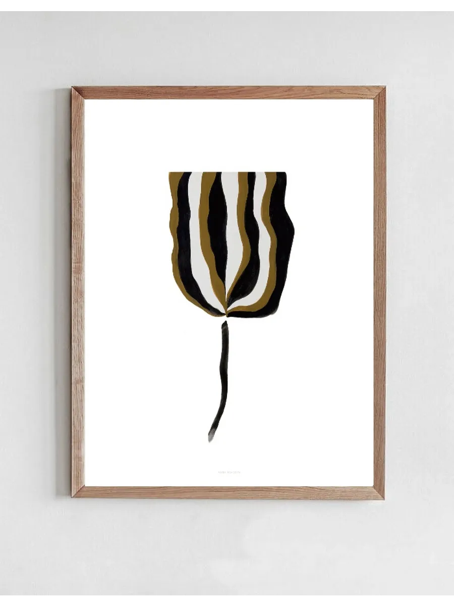 Umber My Umber 08