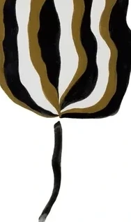 Umber My Umber 08