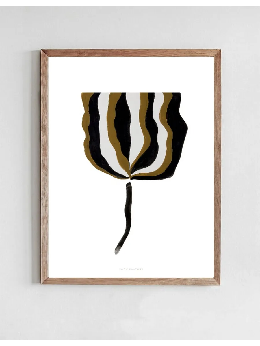 Umber My Umber 08