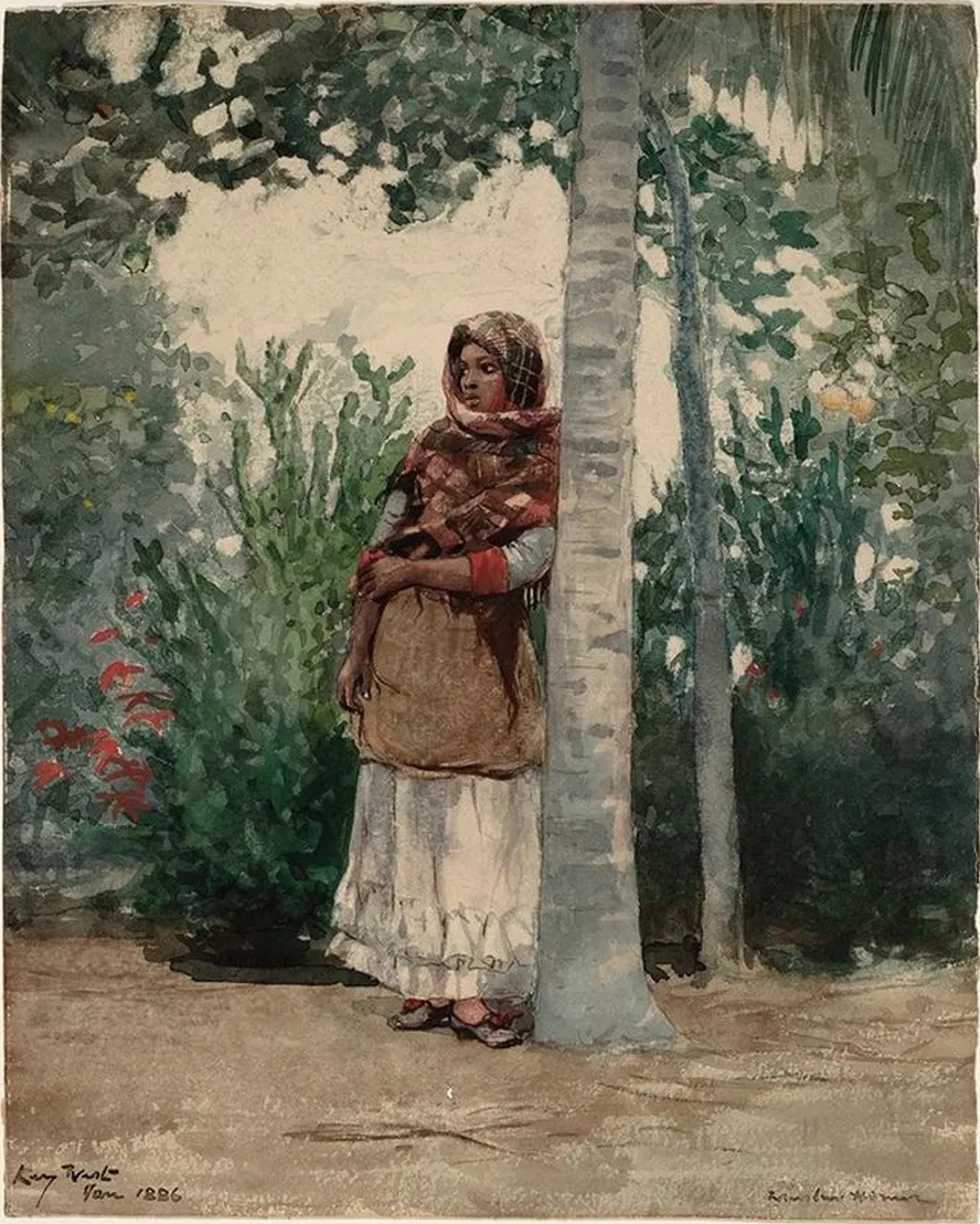 Under a Palm Tree