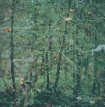 Underwood