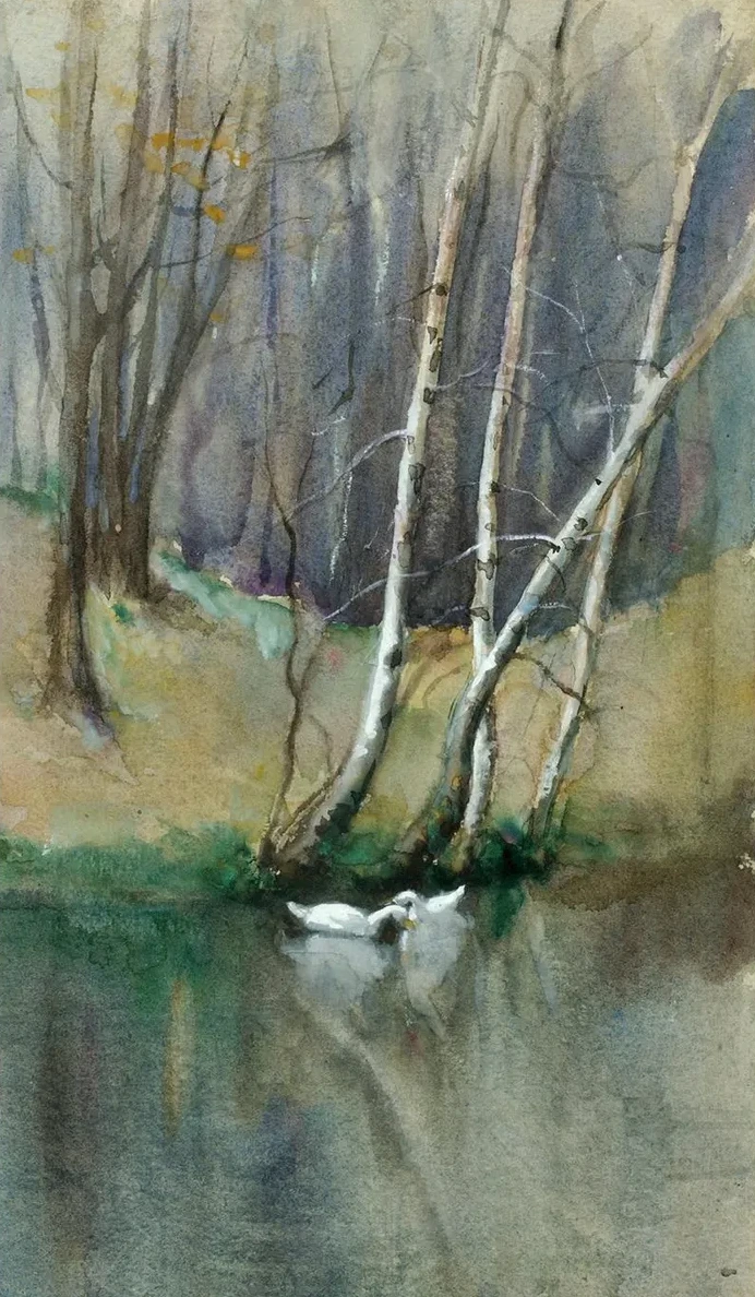 Untitled (Wood Scene with Birch Trees and Ducks)