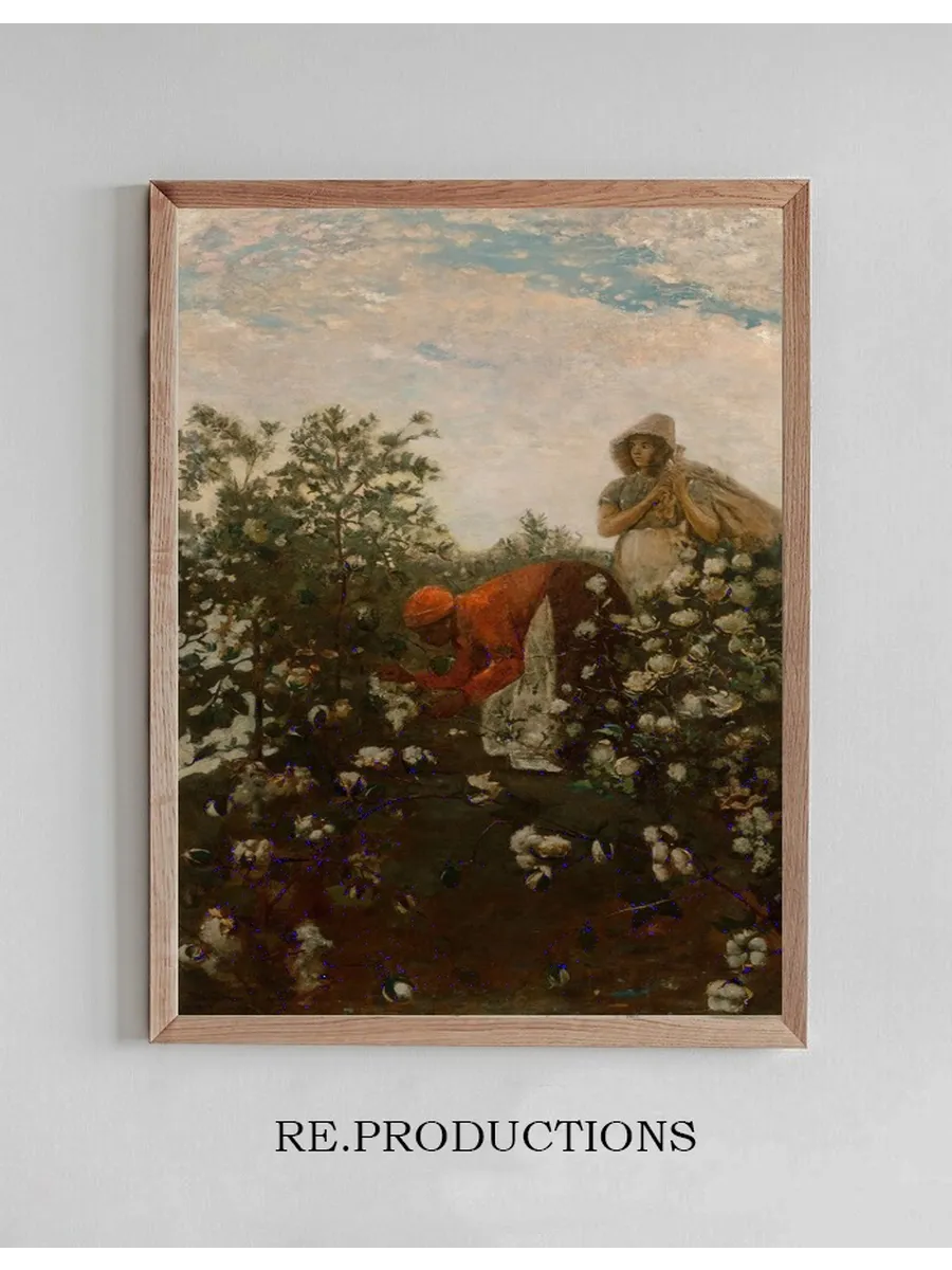 Upland Cotton