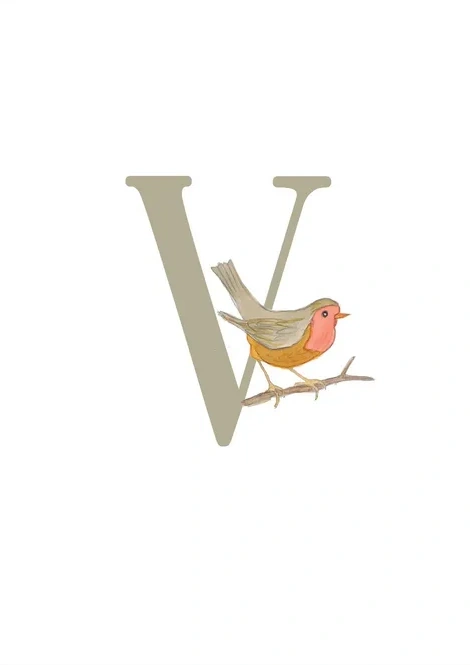 V - Vogel