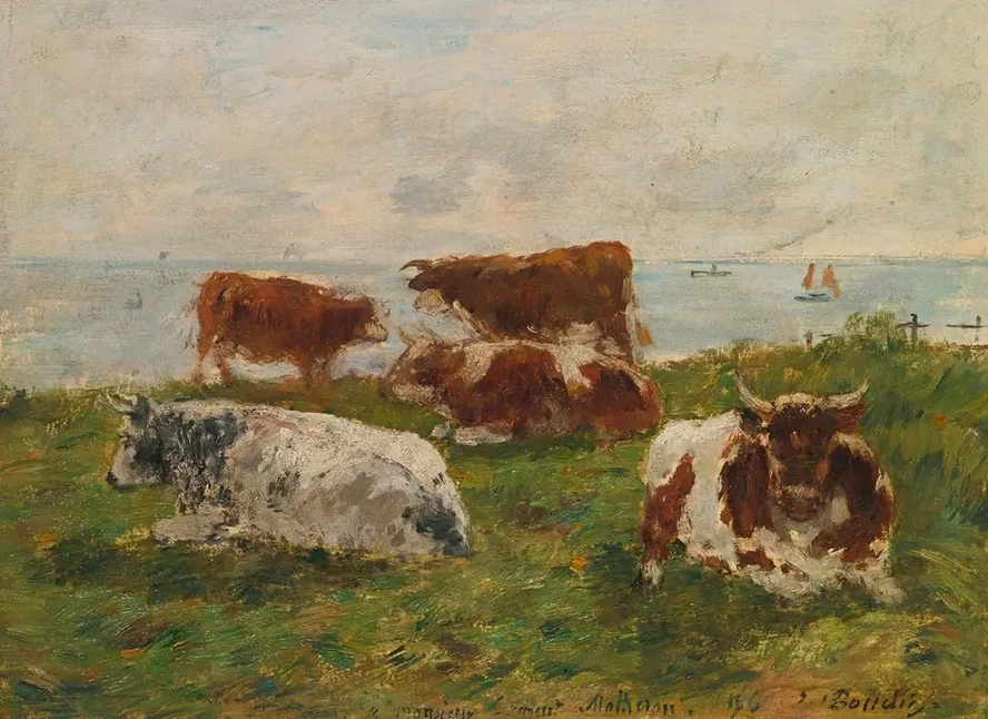 Vaches Au Pr Au Bord De La Me