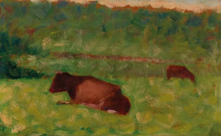 Vaches Dans Un Pr