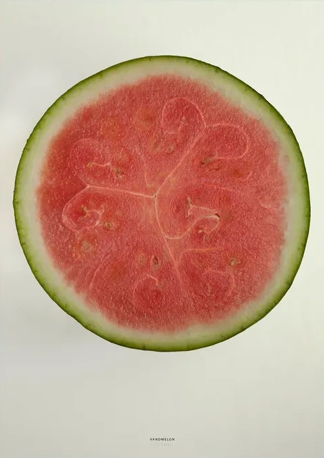 Vandmelon