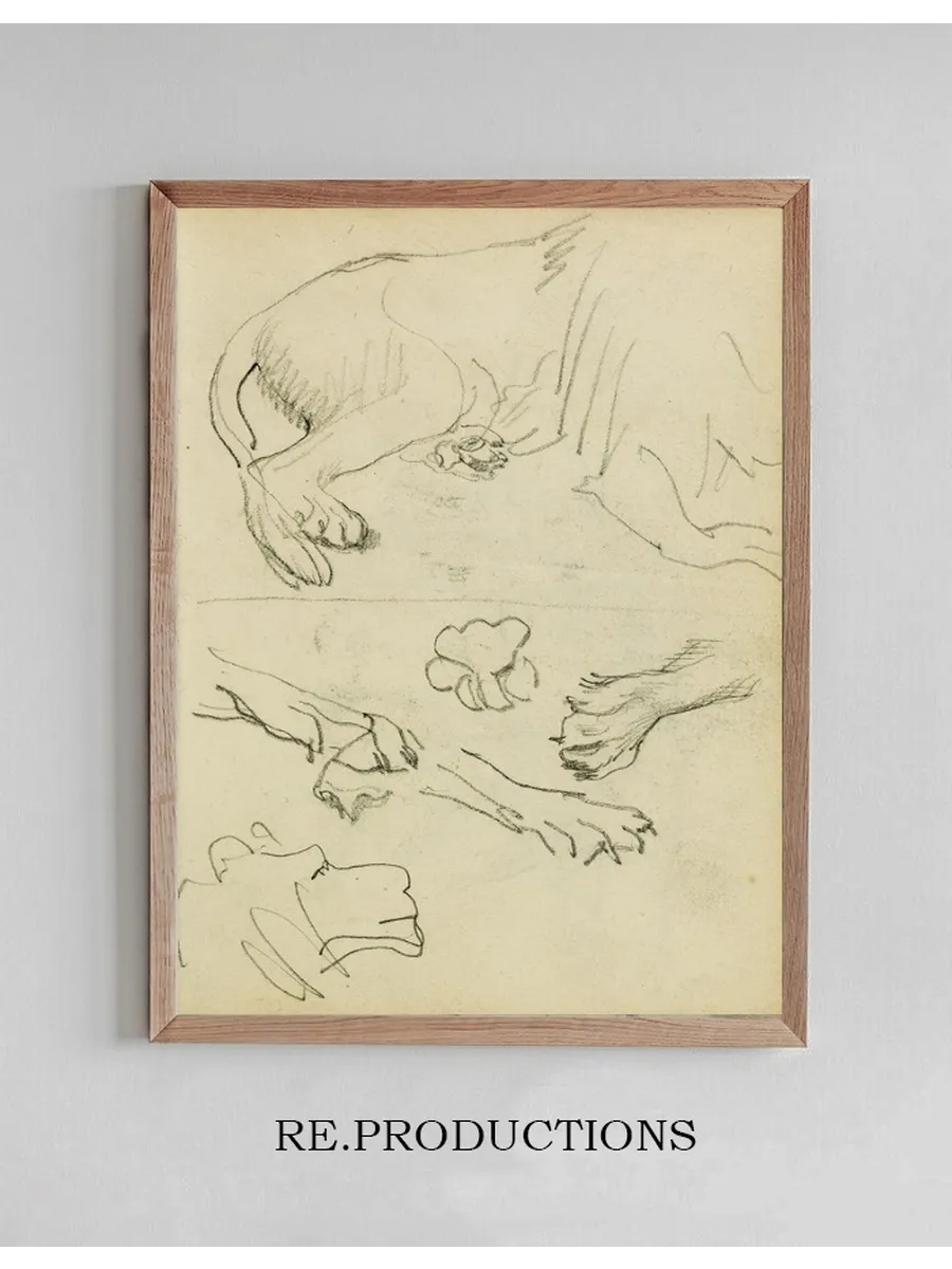Various Studies of Lion Leg, Paws and Head