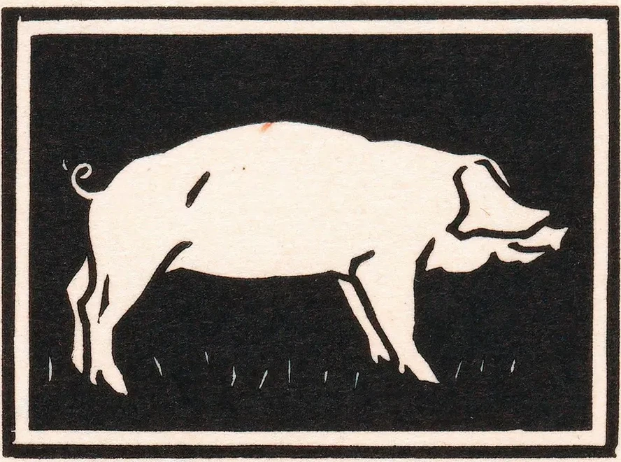 Varken