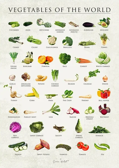 Vegetables of the World