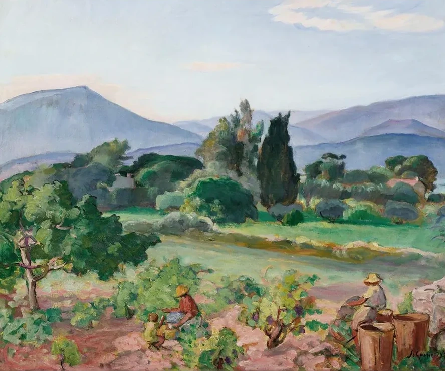 Vendanges Dans la Vall E du Faron
