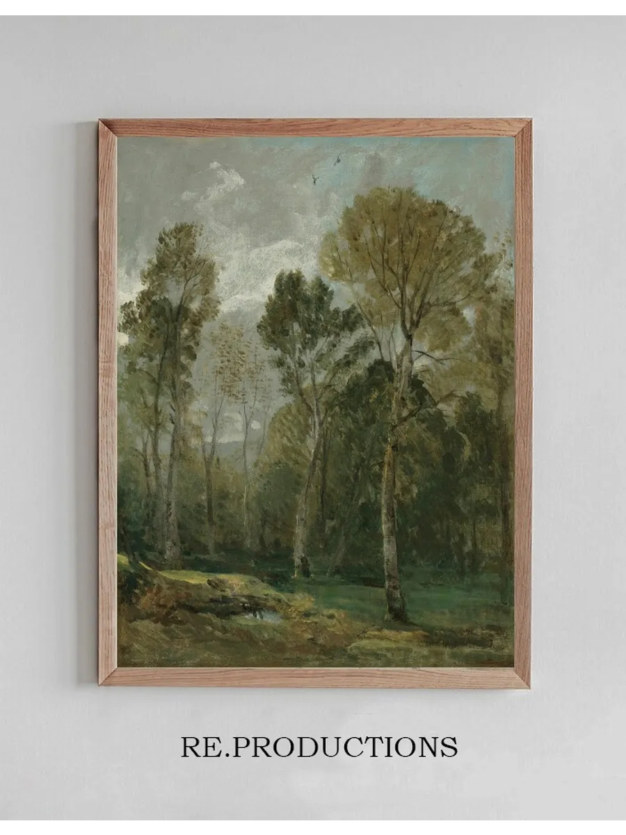 View Of A Copse