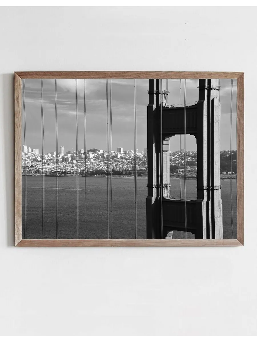 View Of San Francisco black and white