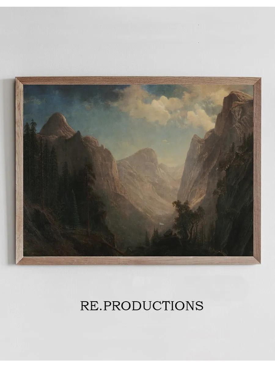 View in the Yosemite Valley