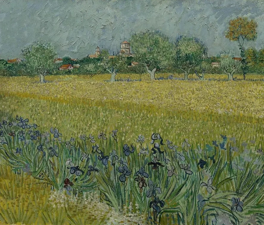 View of Arles with Irises