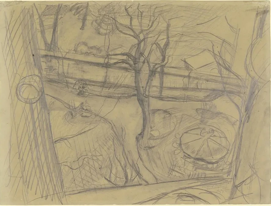 View of a Garden from a Window