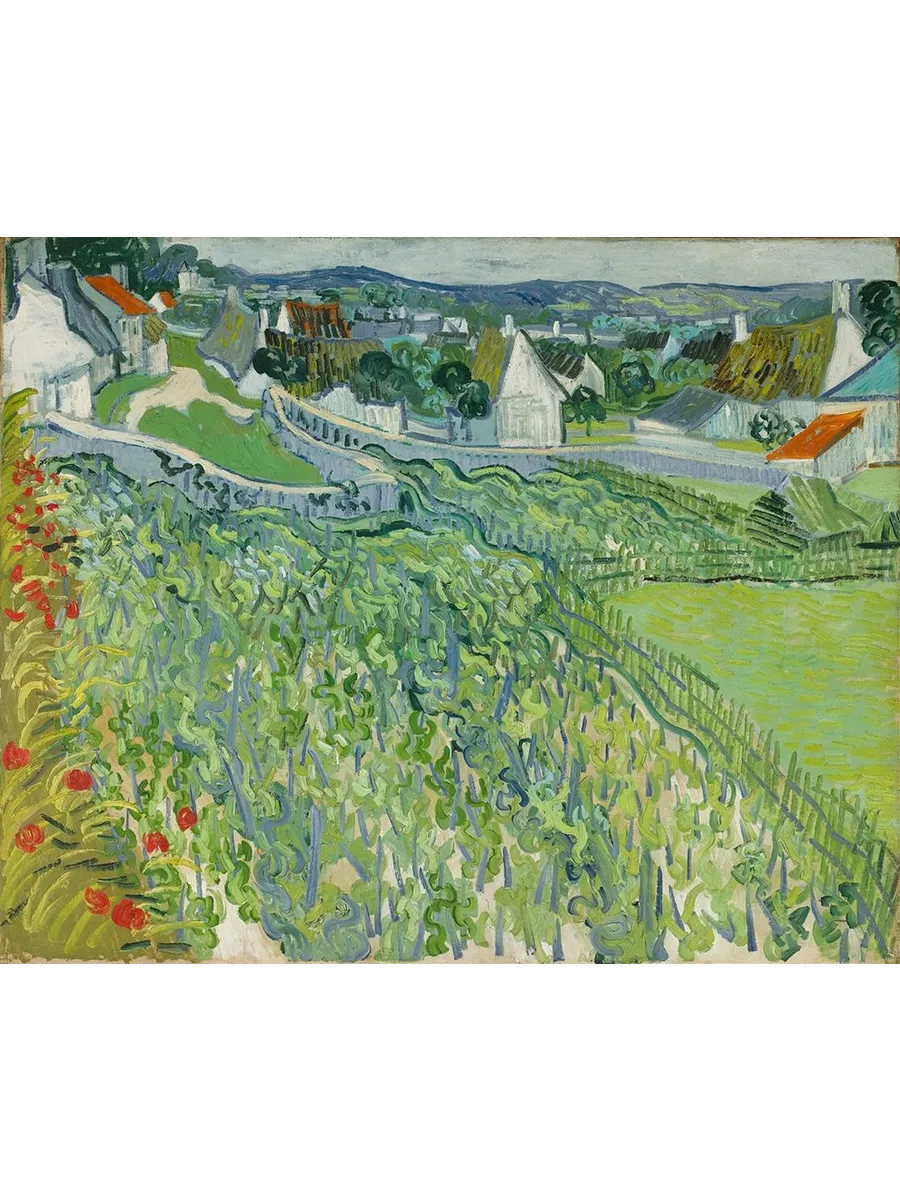 Vineyards at Auvers