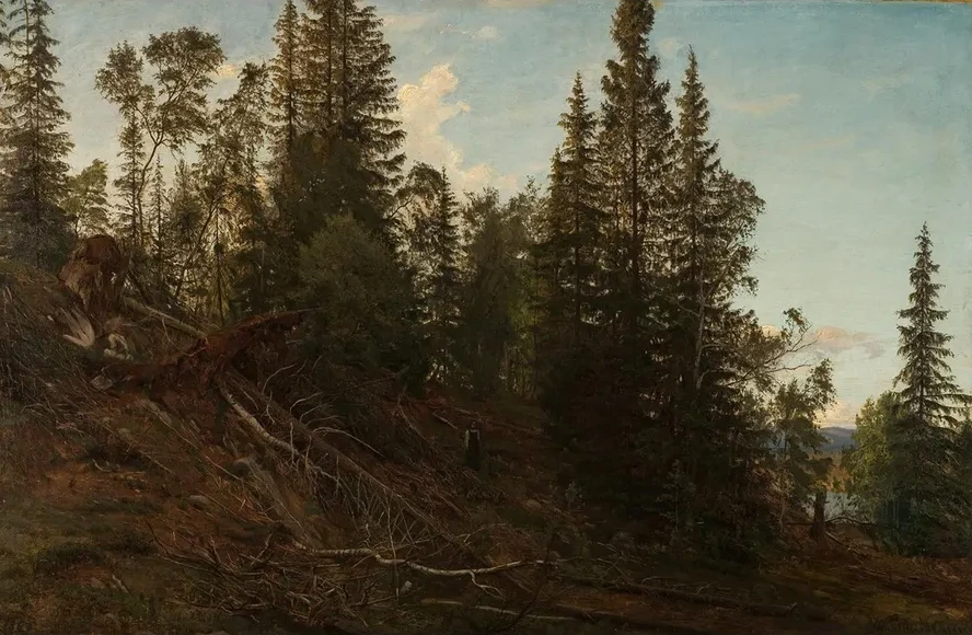 Vinger Sheia, Telemark