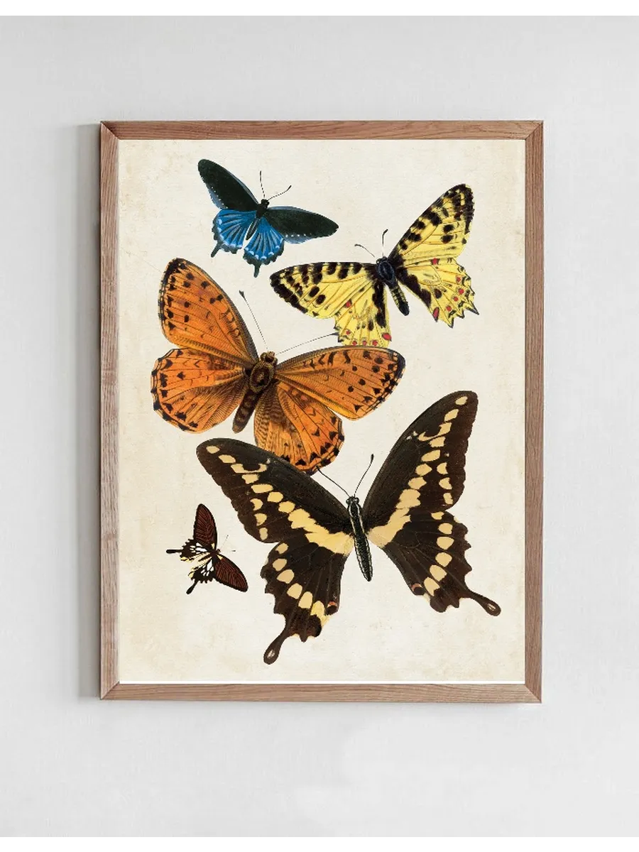 Vintage Butterfly