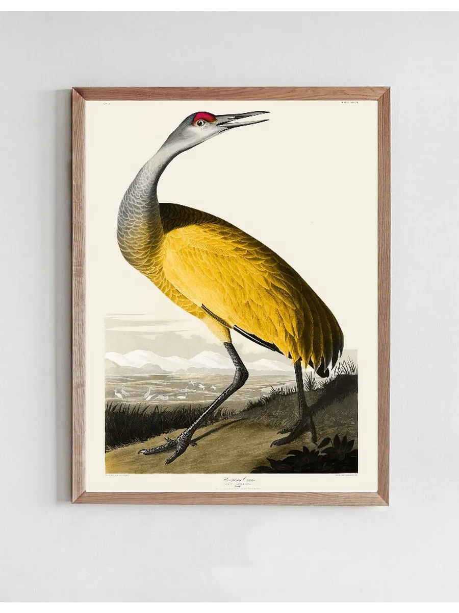 Vintage Museum - Yellow bird