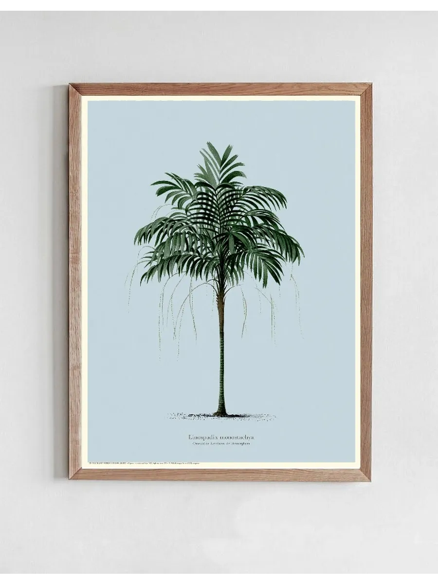 Vintage Palm