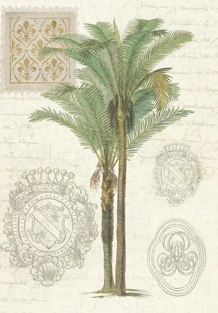Vintage Palm Study II