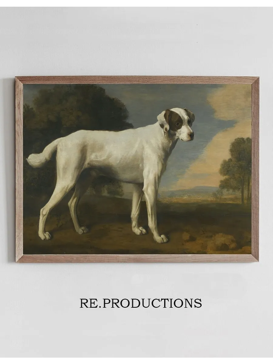 Viscount Gormanston's White Dog