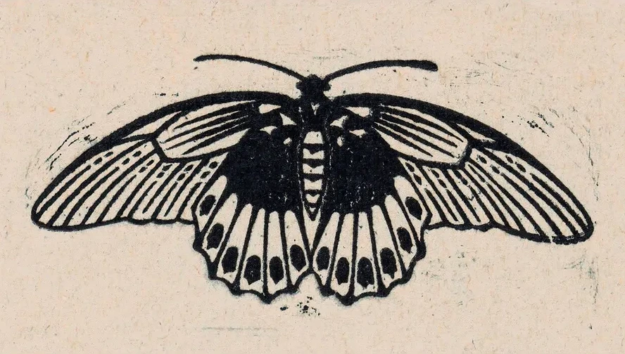 Vlinder