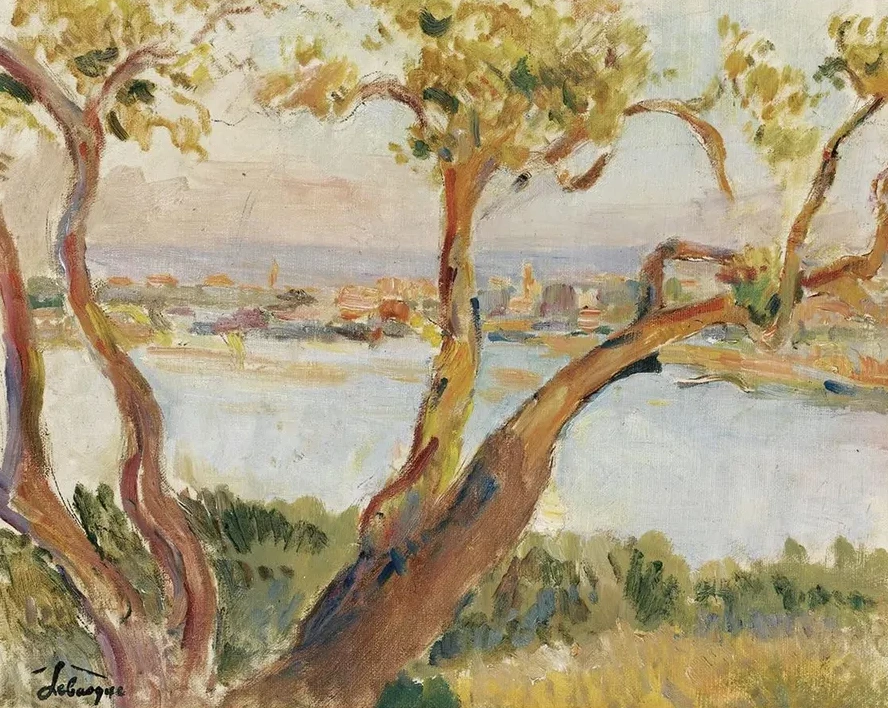 Vue D antibes